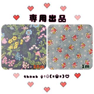 キャスキッドソン(Cath Kidston)の【10】専用出品♛キャスキッドソンデニムラミネート生地(生地/糸)