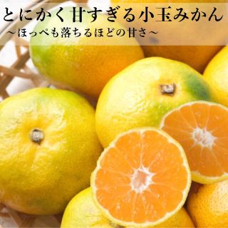 みかん 小玉 5kg 約75個入 果物 甘い ミカン 3s 2s 訳あり 蜜柑(フルーツ)