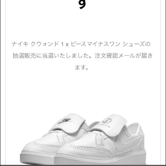 NIKE　クウォンド1✕ピースマイナスワン