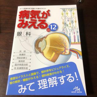 病気がみえる チーム医療を担う医療人共通のテキスト ｖｏｌ．１２(健康/医学)