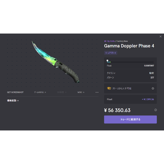 CSGO Flip Knife Gamma Doppler Phase4(その他)