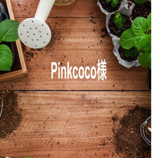 Pinkcoco様　専用　3セット(各種パーツ)