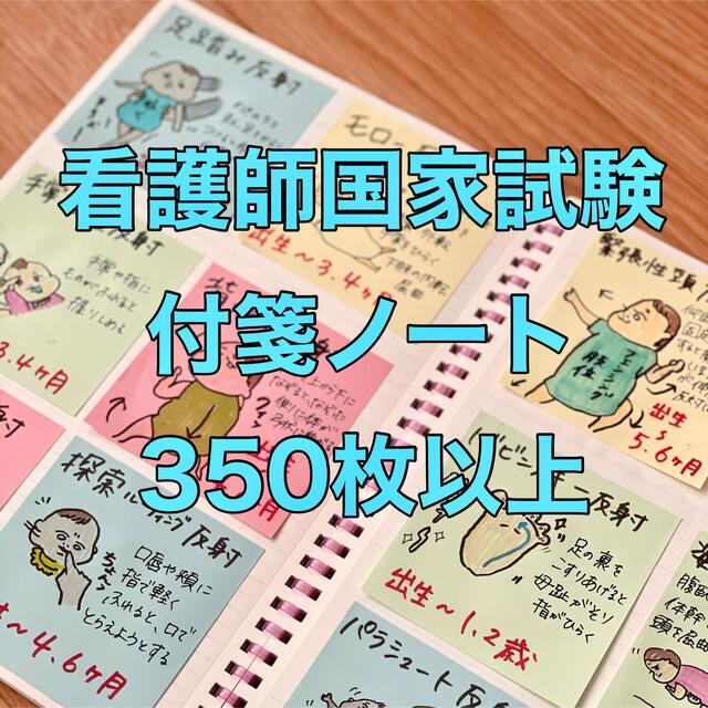 まとめ価格！看護師国家試験対策 大量付箋 暗記カード 解剖生理学 付箋ノート