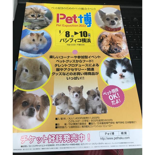 ペット博 チケット チケットのイベント(その他)の商品写真