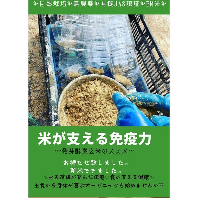 【源喜が届く♫無農薬のお米３合とオーガニック野菜セット】 食品/飲料/酒の食品(米/穀物)の商品写真