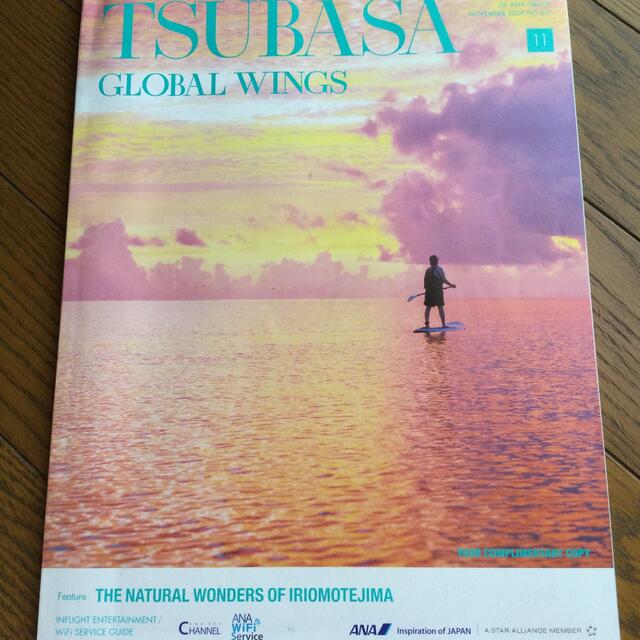 ANA(全日本空輸)(エーエヌエー(ゼンニッポンクウユ))の翼の王国　機内誌　2020/11  全日空 エンタメ/ホビーの雑誌(アート/エンタメ/ホビー)の商品写真