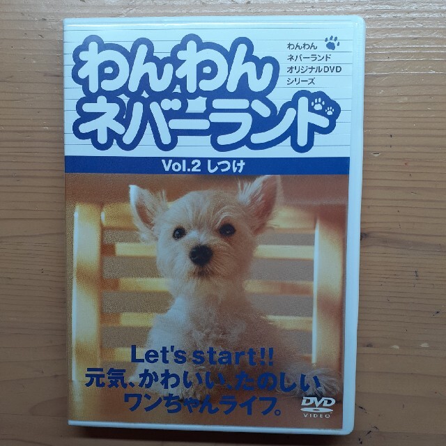 わんわんネバーランド あなたとワンちゃんのハッピーな毎日を応援するオリジナルDVDシリーズ 開店祝い 南里秀子 キャットシッターなんりの猫暮らしマニュアル メール便可 ケース無:: レンタル落ち