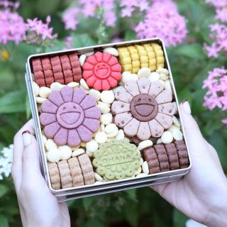 となりの開花堂　村上隆プロデュース　冬のクッキー缶M(菓子/デザート)