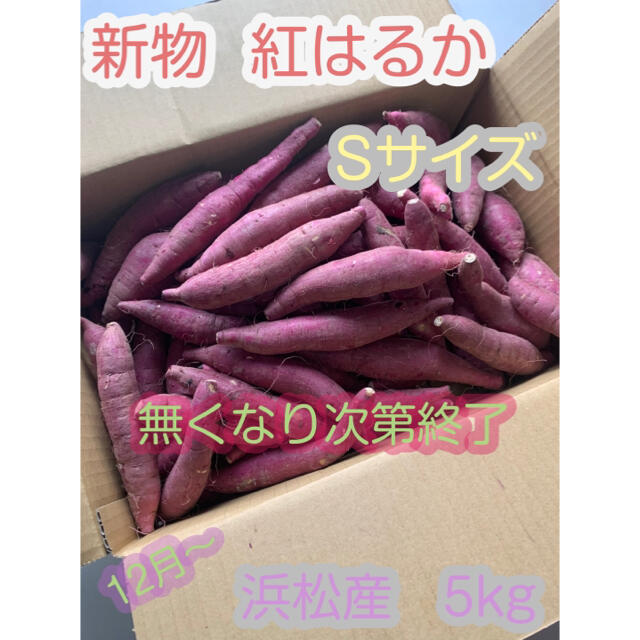#4 紅はるかSサイズ  静岡県浜松産 小さめ  さつまいも 5kg 食品/飲料/酒の食品(野菜)の商品写真
