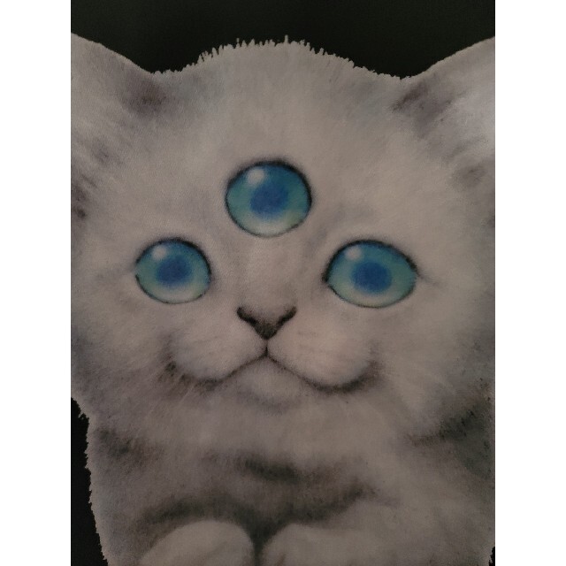 ドラハニ　猫　トップス レディースのトップス(Tシャツ(長袖/七分))の商品写真