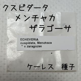 札付き!!黒爪ザラゴーサ　20粒　ケーレス　種子(その他)