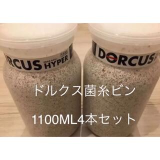 クワガタ菌糸ビン1100ML 4本セット　ドルクスハイパー菌糸　クワガタ幼虫飼育(虫類)