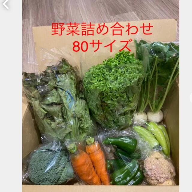 野菜詰め合わせ　　80サイズ 食品/飲料/酒の食品(野菜)の商品写真