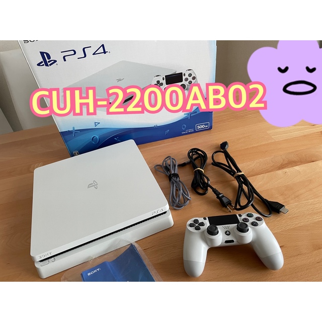 SONY PlayStation4 本体 CUH-2200AB02