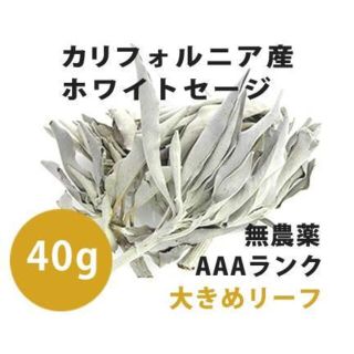 【無農薬】ホワイトセージ 高品質40ｇ　解説マニュアル＆チャック付きポリ袋(お香/香炉)