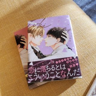 君に恋するはずがない　トキメキ篇(ボーイズラブ(BL))