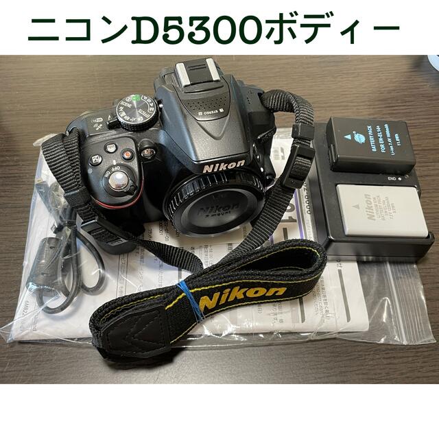 Nikon D5300 ボディー