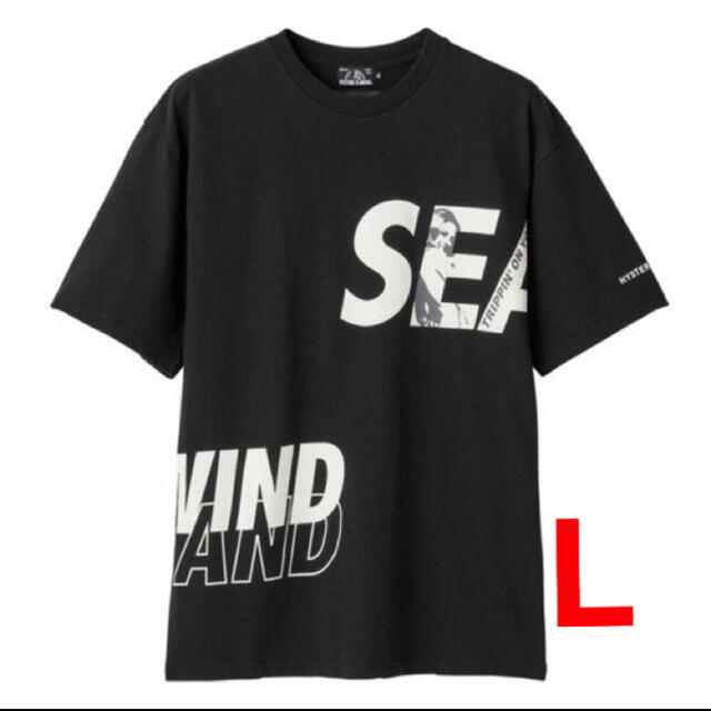 wind and sea hysteric glamor tシャツ 黒Tシャツ/カットソー(半袖/袖なし)