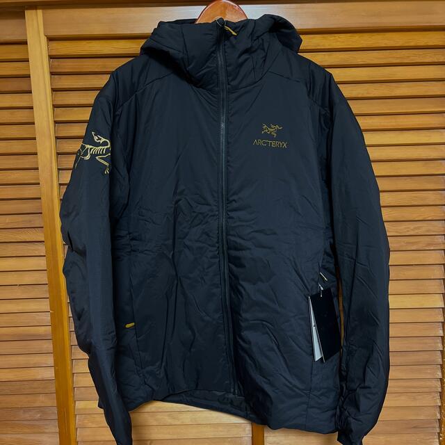 ARC'TERYX×BEAMS / 別注 Atom AR Hoody サイズXL