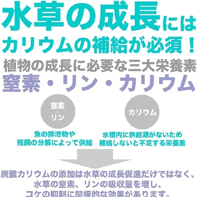 公式限定新作 送料無料 炭酸カリウム500g 水草添加剤 栄養剤 21新発 公式限定新作 送料無料 炭酸カリウム500g 水草添加剤 栄養剤 21新発