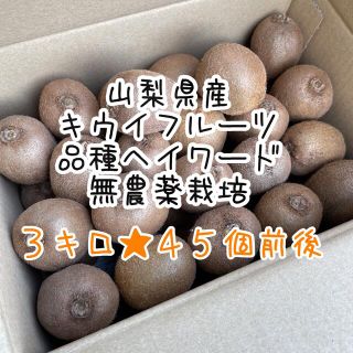 山梨県産　無農薬　キウイフルーツ　ヘイワード　55g〜 70g混合3キロ(フルーツ)