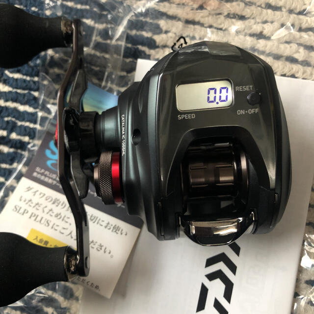 CATALINA IC 100SH L 【信頼】 13230円 vivacf.net