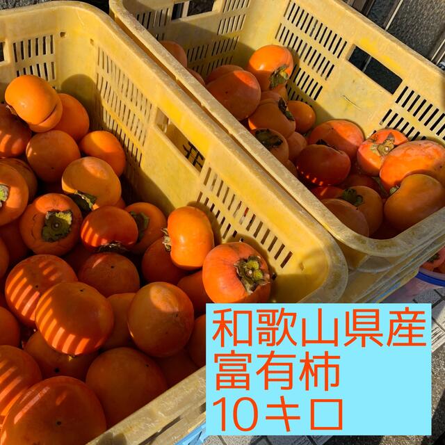 和歌山県産　美味しい　たねなし柿　10kg  硬め　3