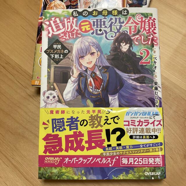 ももちゃん様　私のお母様は追放された元悪役令嬢でした 平民ブスメガネの下剋上 ２ エンタメ/ホビーの本(文学/小説)の商品写真