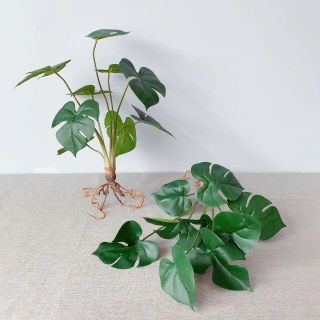 モンステラ観葉植物根付き 高さ40㎝　フェイクグリーン 植物 人工観葉植物(その他)