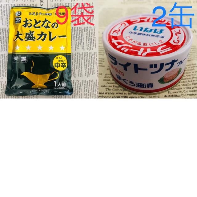 9袋＆ツナ2缶　レストラン　中辛　カレー　おまとめ出品☆　加工食品