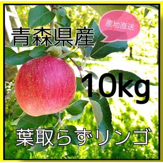 青森県産サンふじ【葉取らずリンゴ】(フルーツ)