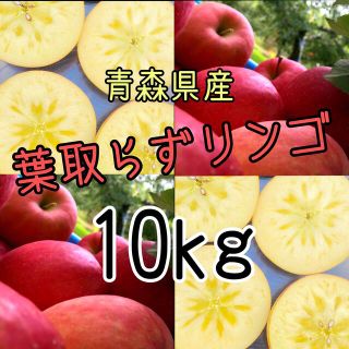 青森県産サンふじ【葉取らずリンゴ】(フルーツ)