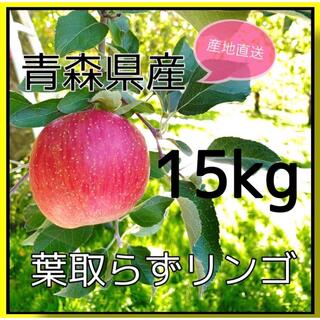 青森県産サンふじ【葉取らずリンゴ】(フルーツ)