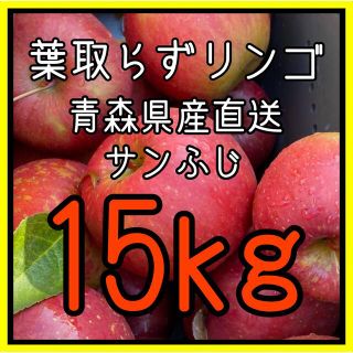 青森県産サンふじ【葉取らずリンゴ】(フルーツ)