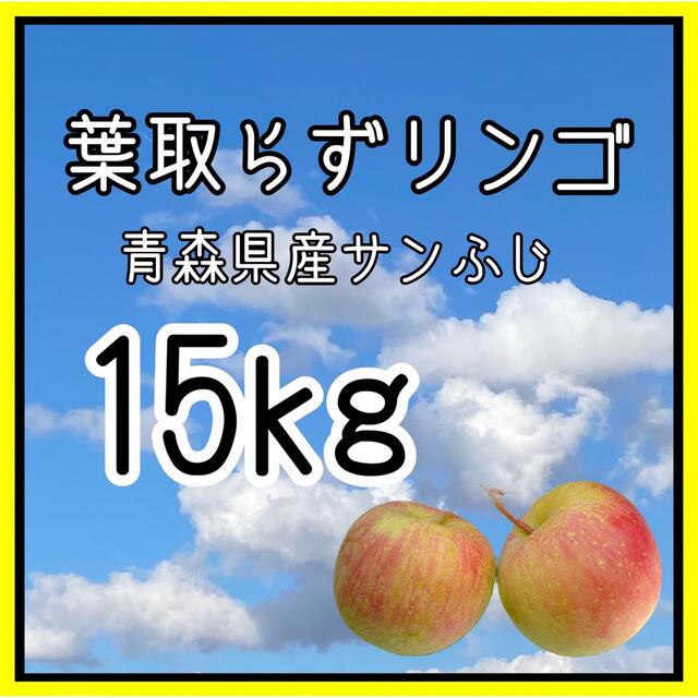 青森県産サンふじ【葉取らずリンゴ】