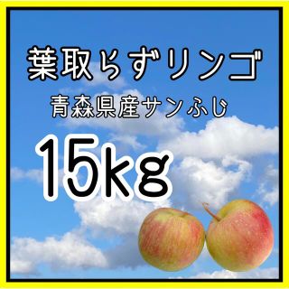 青森県産サンふじ【葉取らずリンゴ】(フルーツ)