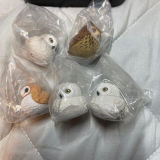 カプセルトイ　ふっくら福福フクロウ　奇譚クラブ(キャラクターグッズ)