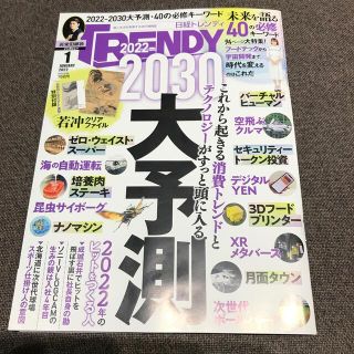 日経トレンディ2022.1月号(アート/エンタメ/ホビー)