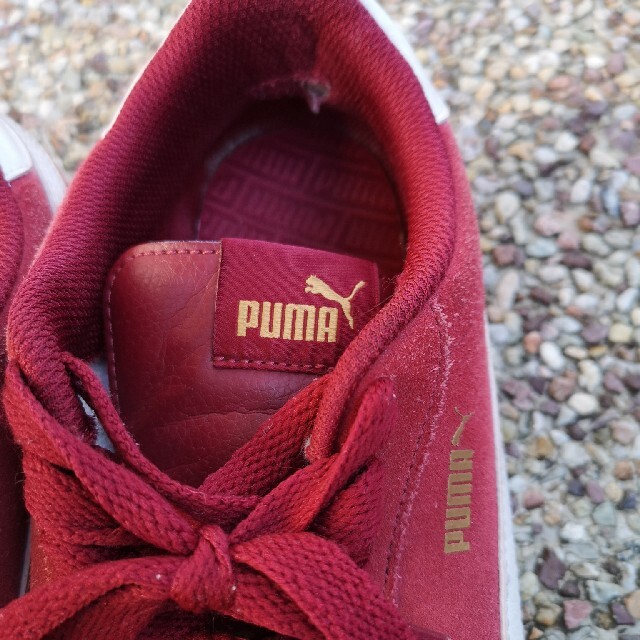 PUMA(プーマ)のPUMA　スニーカー　赤　バックスキン　スエード　26cm　メンズ　レディース メンズの靴/シューズ(スニーカー)の商品写真