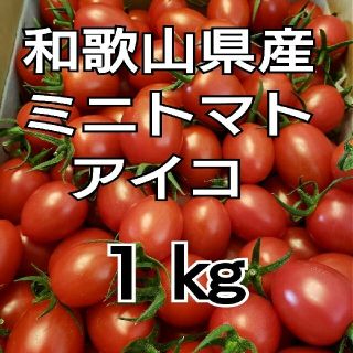 和歌山県産 ミニトマト アイコ １㎏(野菜)