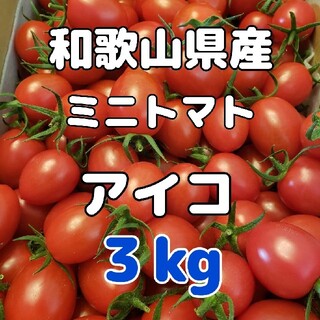 和歌山県産 ミニトマト アイコ ３㎏(野菜)