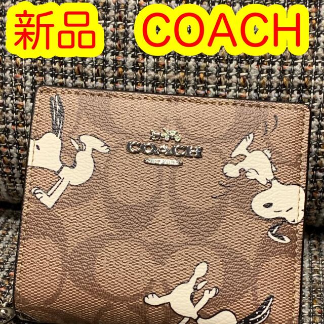 COACH(コーチ)のコーチ　財布　スヌーピー　二つ折り　ブラウンシグネチャー レディースのファッション小物(財布)の商品写真