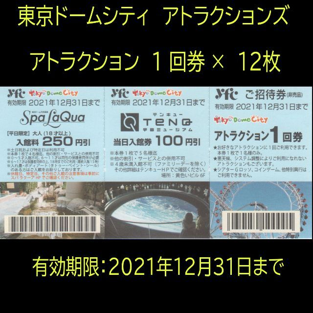 東京ドームシティアトラクション券12枚