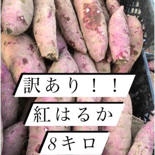 紅はるか訳あり8キロ(野菜)