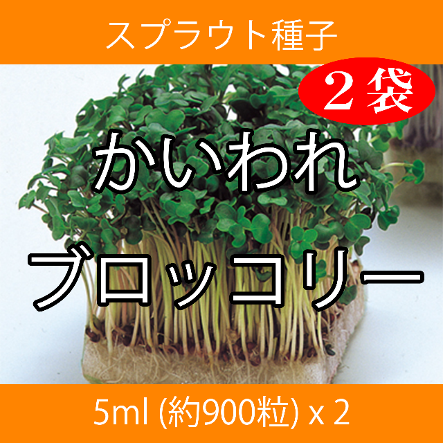 スプラウト種子 S-01 かいわれブロッコリー 5ml x 2袋 食品/飲料/酒の食品(野菜)の商品写真