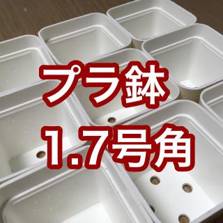 多肉植物に！プラ鉢 白 角1.7号 10個 新品未使用♬(プランター)