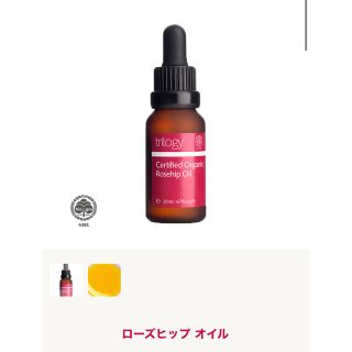 トリロジー(trilogy)のトリロジー　ローズヒップオイル　BIGボトル45ml(美容液)