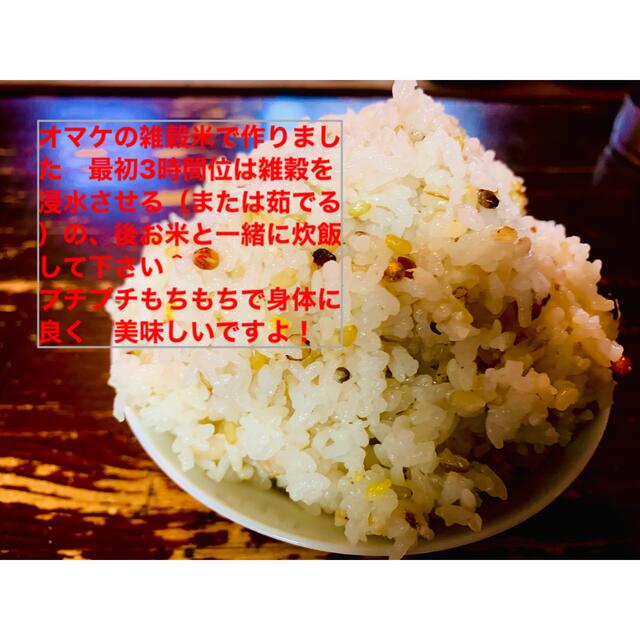 もち米　新米　宮城産　みやこがねもち10kg 沖縄離島除き送料無料！精米無料！