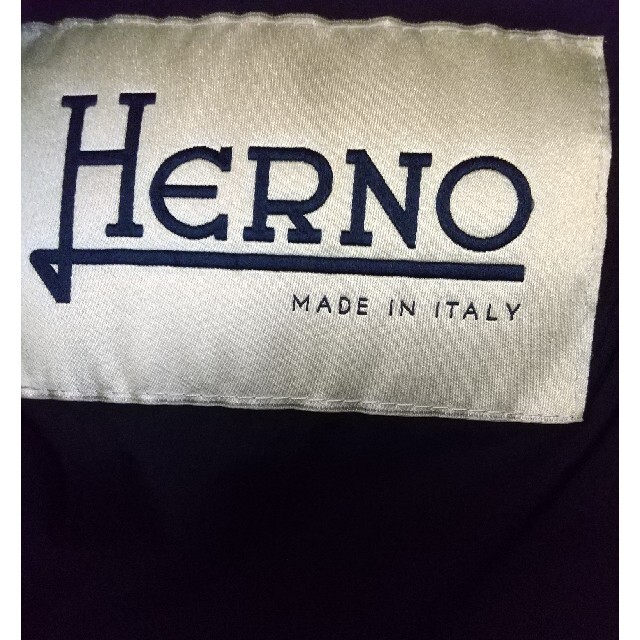 HERNO(ヘルノ)のヘルノ　ダウンコート異素材 レディースのジャケット/アウター(ダウンコート)の商品写真