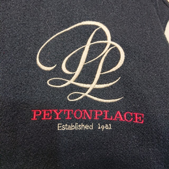 PEYTON PLACE 古着 袖レザー スタジャン 刺繍 牛革 アワード